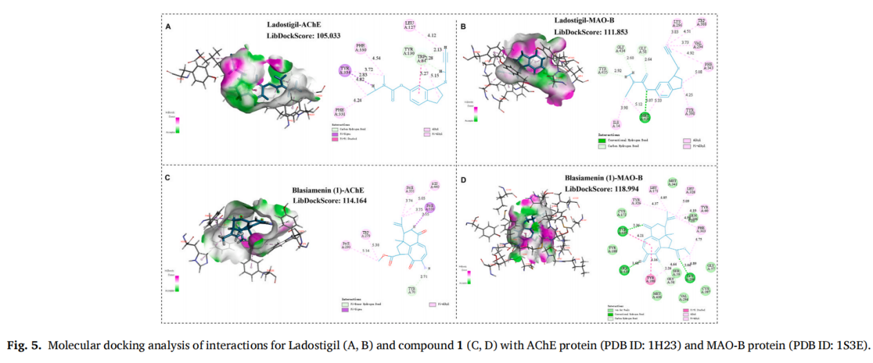 بلاسيامينين، رواية معاد ترتيبها من دينور-ديتيربينويد من بلاخيا سيامنسيس (بالميتويل إيثانولاميد وأوراسيل من إنتاج ووشي فورفارم)