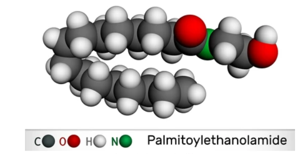 structure1.png